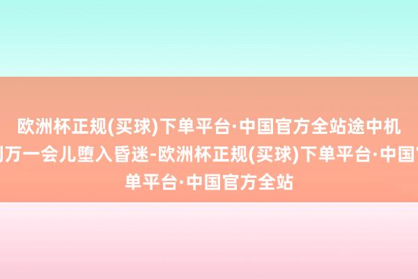 欧洲杯正规(买球)下单平台·中国官方全站途中机长佩赫利万一会儿堕入昏迷-欧洲杯正规(买球)下单平台·中国官方全站