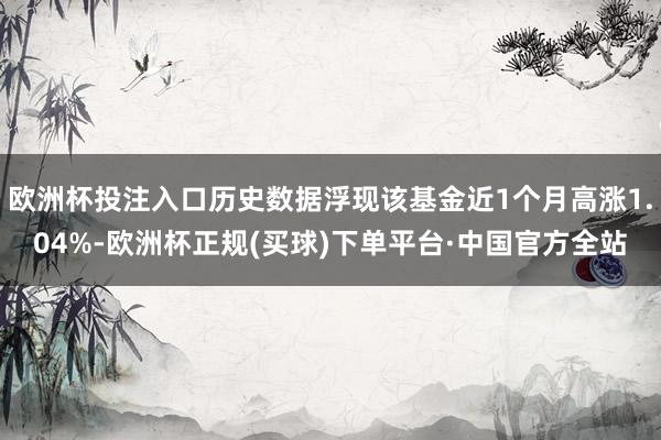 欧洲杯投注入口历史数据浮现该基金近1个月高涨1.04%-欧洲杯正规(买球)下单平台·中国官方全站