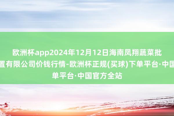 欧洲杯app2024年12月12日海南凤翔蔬菜批发市集措置有限公司价钱行情-欧洲杯正规(买球)下单平台·中国官方全站