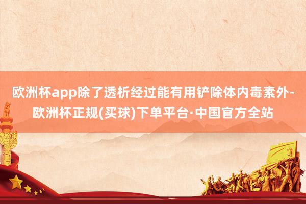 欧洲杯app除了透析经过能有用铲除体内毒素外-欧洲杯正规(买球)下单平台·中国官方全站